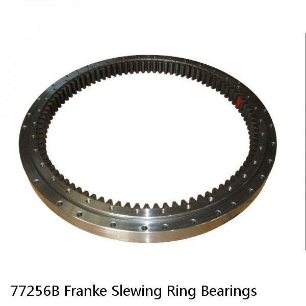 77256B Franke Slewing Ring Bearings