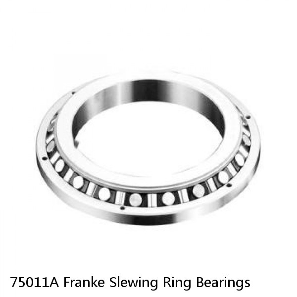 75011A Franke Slewing Ring Bearings