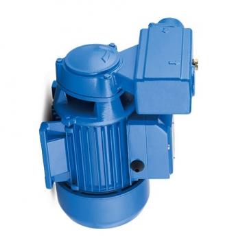 Yuken PV2R12-12-33-L-RAAA-4222 Double Vane Pumps