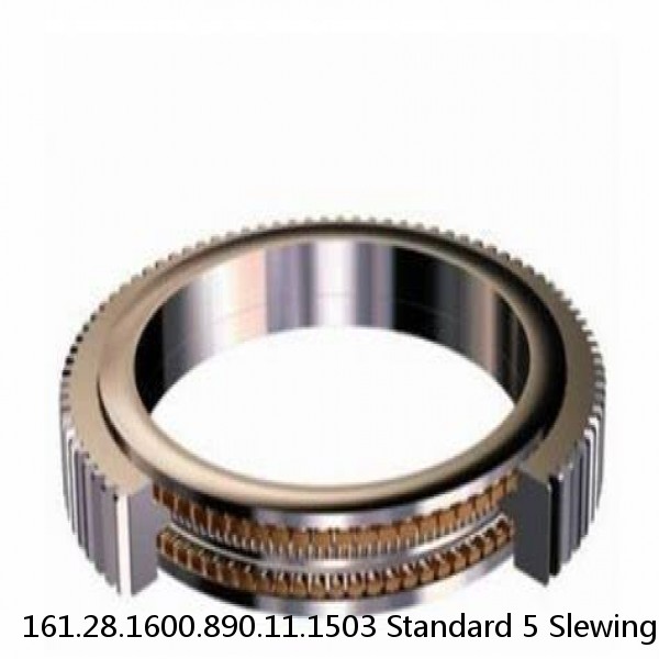 161.28.1600.890.11.1503 Standard 5 Slewing Ring Bearings