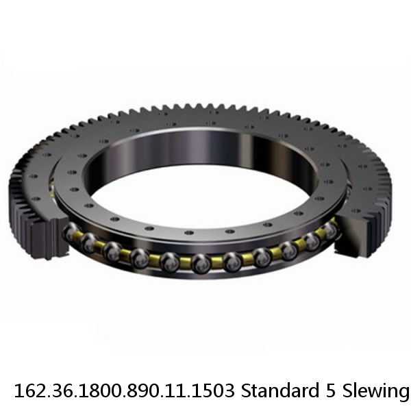 162.36.1800.890.11.1503 Standard 5 Slewing Ring Bearings