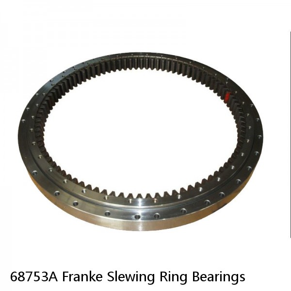 68753A Franke Slewing Ring Bearings