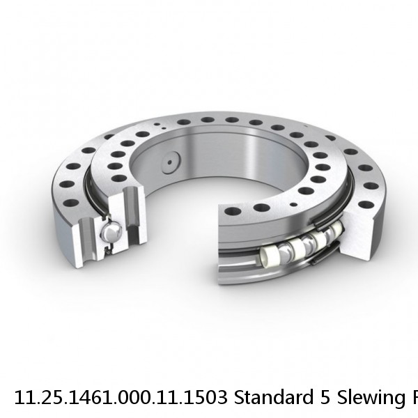 11.25.1461.000.11.1503 Standard 5 Slewing Ring Bearings