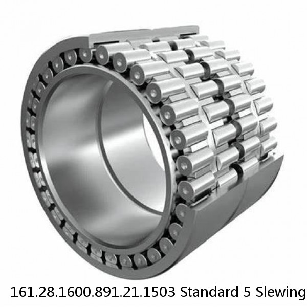 161.28.1600.891.21.1503 Standard 5 Slewing Ring Bearings