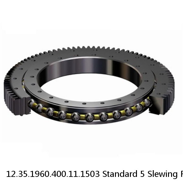 12.35.1960.400.11.1503 Standard 5 Slewing Ring Bearings