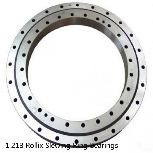 1 213 Rollix Slewing Ring Bearings