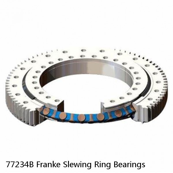 77234B Franke Slewing Ring Bearings