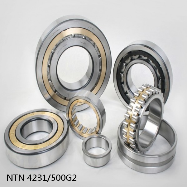 4231/500G2 NTN Cylindrical Roller Bearing