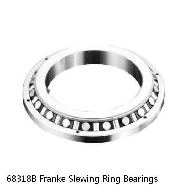 68318B Franke Slewing Ring Bearings