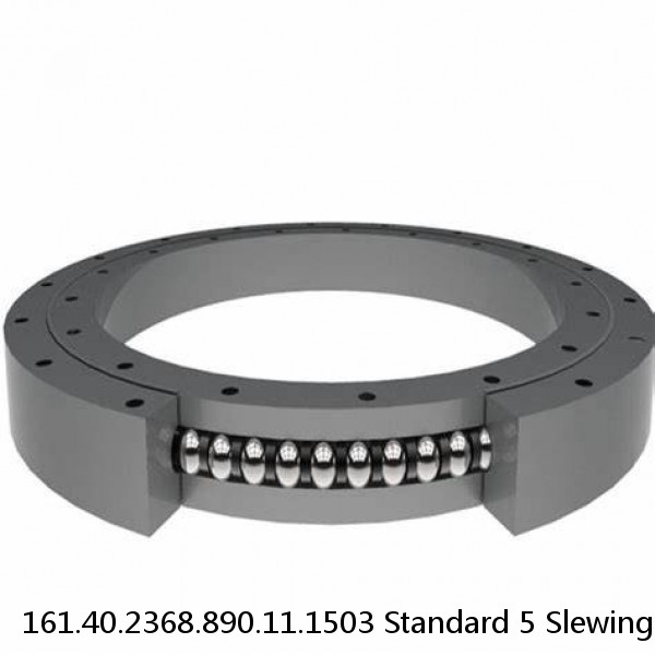 161.40.2368.890.11.1503 Standard 5 Slewing Ring Bearings