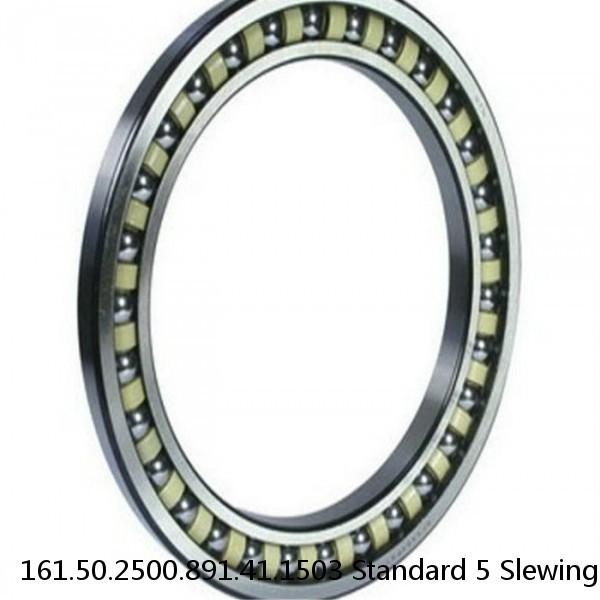 161.50.2500.891.41.1503 Standard 5 Slewing Ring Bearings