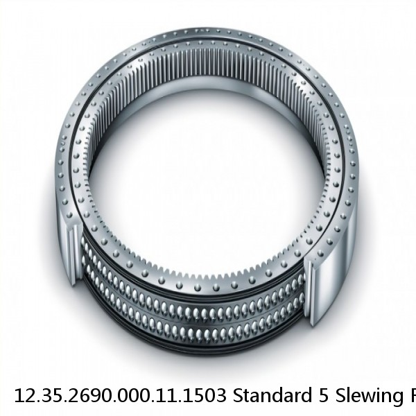 12.35.2690.000.11.1503 Standard 5 Slewing Ring Bearings