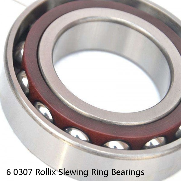 6 0307 Rollix Slewing Ring Bearings