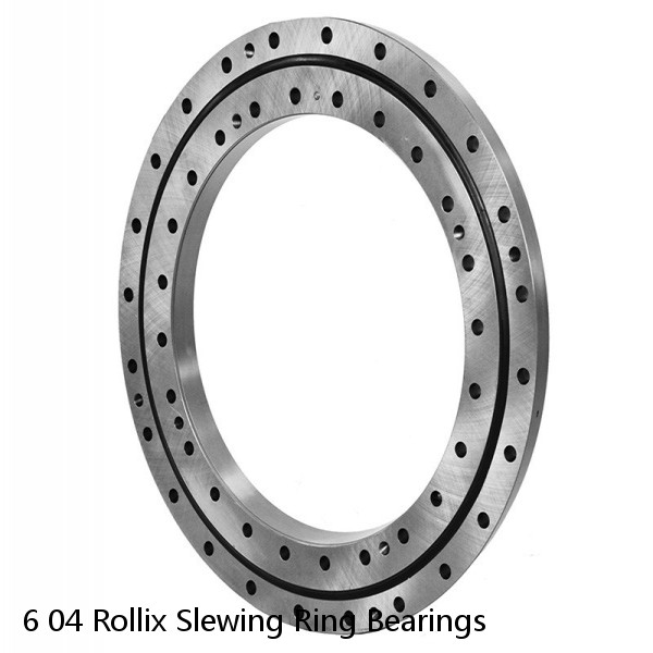 6 04 Rollix Slewing Ring Bearings