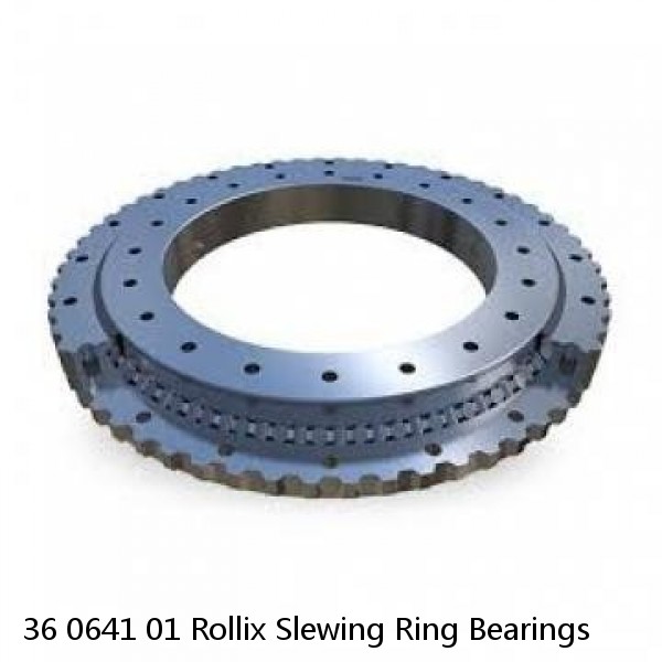 36 0641 01 Rollix Slewing Ring Bearings