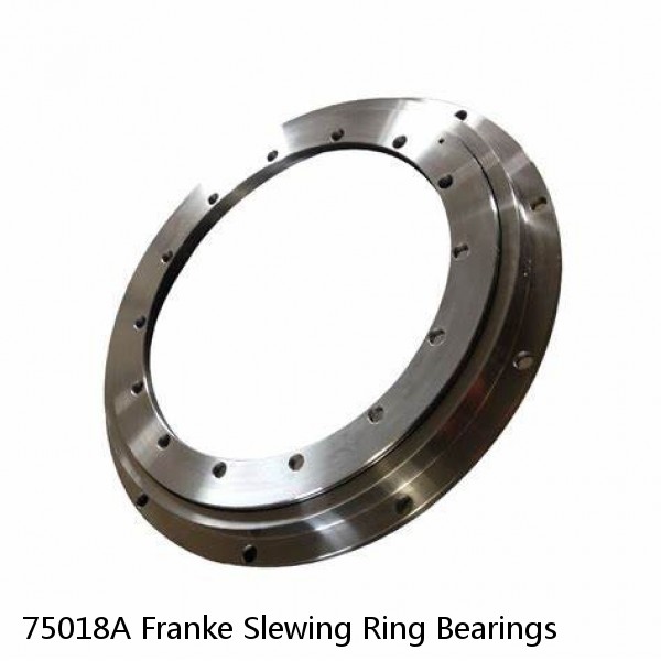 75018A Franke Slewing Ring Bearings