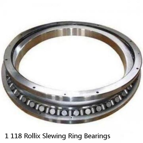 1 118 Rollix Slewing Ring Bearings