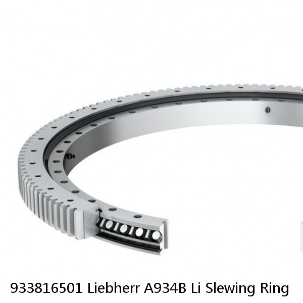 933816501 Liebherr A934B Li Slewing Ring