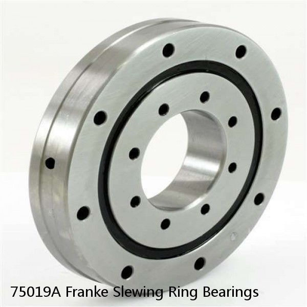 75019A Franke Slewing Ring Bearings