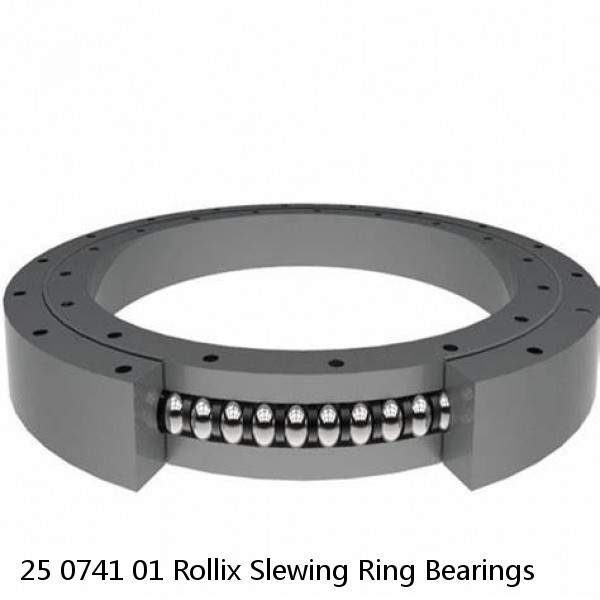 25 0741 01 Rollix Slewing Ring Bearings