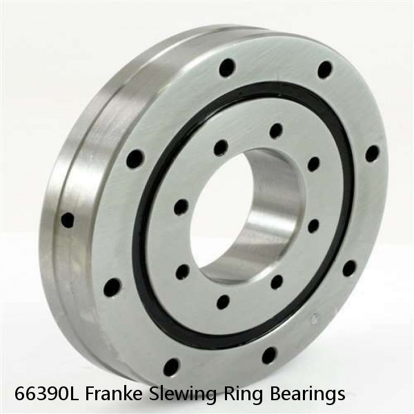 66390L Franke Slewing Ring Bearings