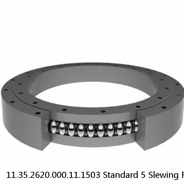 11.35.2620.000.11.1503 Standard 5 Slewing Ring Bearings