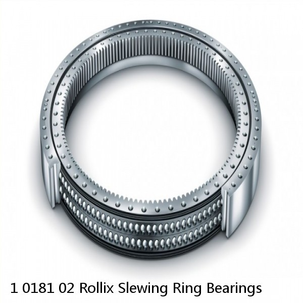 1 0181 02 Rollix Slewing Ring Bearings