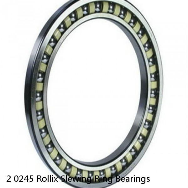 2 0245 Rollix Slewing Ring Bearings