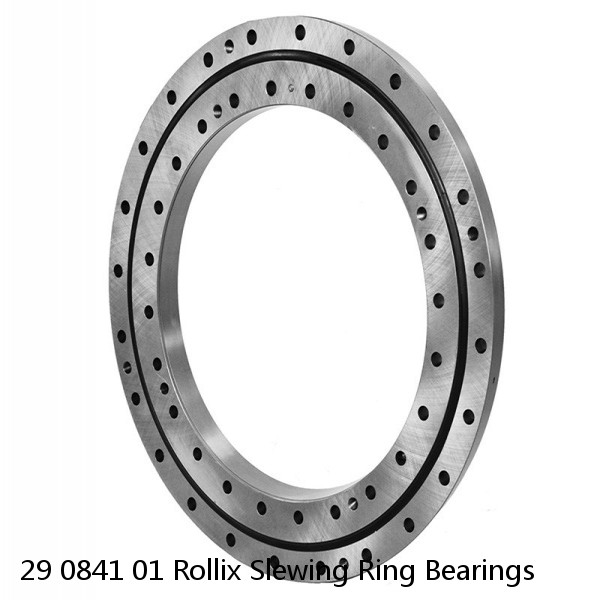 29 0841 01 Rollix Slewing Ring Bearings