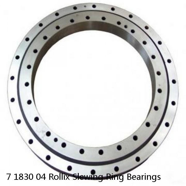 7 1830 04 Rollix Slewing Ring Bearings