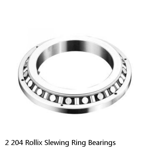 2 204 Rollix Slewing Ring Bearings