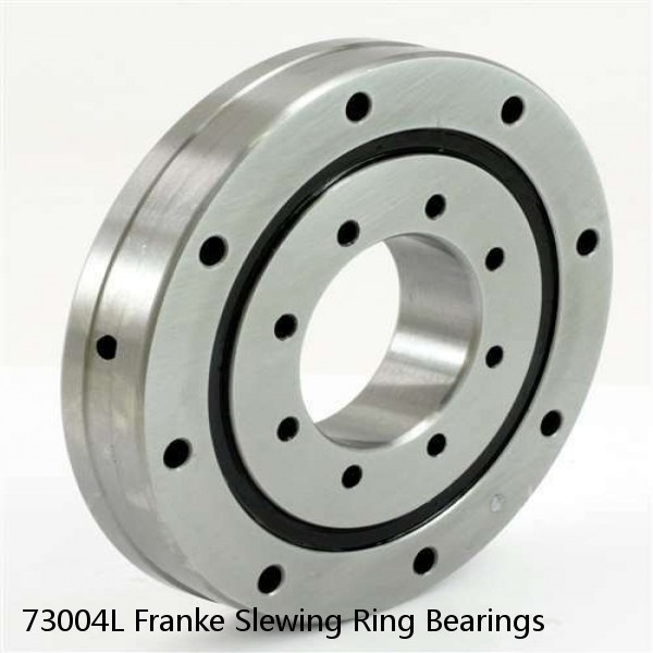 73004L Franke Slewing Ring Bearings