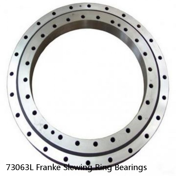 73063L Franke Slewing Ring Bearings